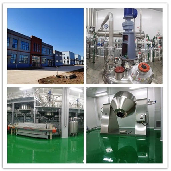 Acridone acetic acid workshop