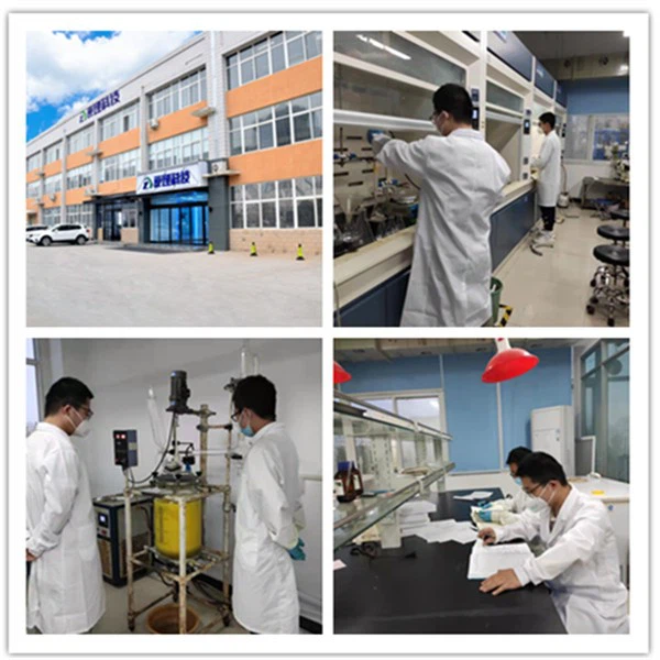 P-Carborane Dicarboxylic Acid,23087-99-2,C4H2B10O4 suppliers